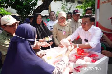 Bapanas sediakan ayam ras harga Rp36 ribu di 3.800 lokasi