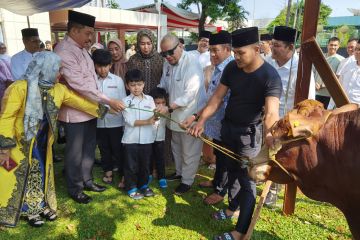 Peringati Idul Adha, DPD RI bagikan kurban ke pegawai dan warga