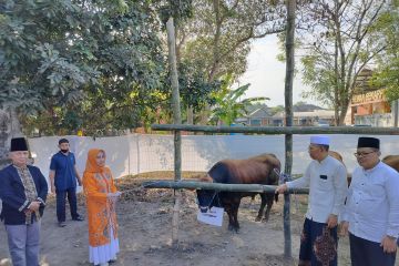 Wali Kota Mojokerto sarankan sembelih hewan kurban di RPH