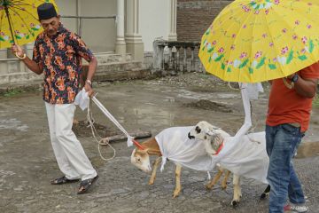FOTO - Penyembelihan Hewan Kurban di Aceh Barat Daya