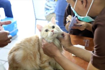 Antisipasi rabies, Pemkot Tangerang berikan layanan vaksinasi hewan