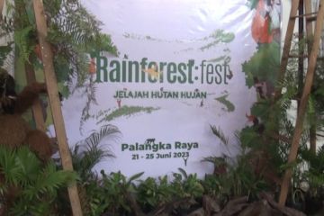 Belajar lewat miniatur hutan hujan di Kalimantan
