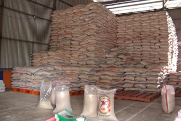 Bulog Kalteng serap lima ribu ton beras petani lokal hingga akhir 2023