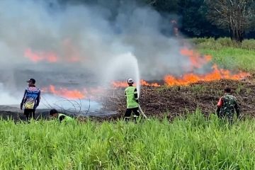 Kepala BNPB: Tak boleh ada perda yang toleransi kebakaran lahan