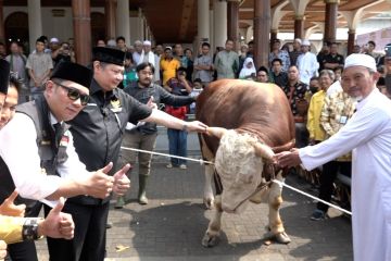 Menko Airlangga serahkan sapi kurban untuk warga Sumedang