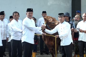 Panglima TNI dan KSAL serahkan sapi kurban di Markas Marinir