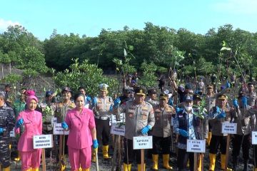 Polda Kepri tanam 3.000 bibit mangrove demi keseimbangan alam