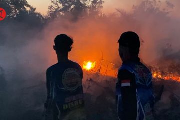 Karhutla di sekitar Kota Palangka Raya terus meluas