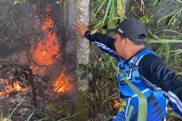 Karhutla hingga 3 kali sehari, BPBD Palangka Raya minta waspada