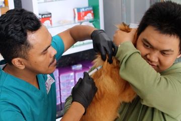 Upaya antisipasi penularan rabies di Kalimantan Barat