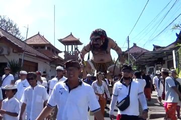 Warga arak ogoh-ogoh jelang acara Pelebon Raja Denpasar IX