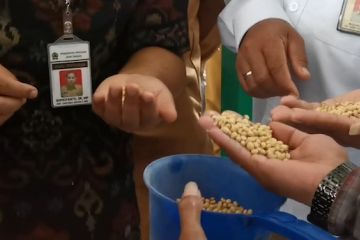 Tingkatkan produksi kedelai, Jateng minta petani sesuaikan varietas