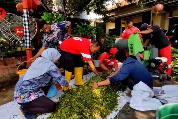 Sampah eceng gondok diolah menjadi pupuk organik