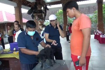 Bali gencarkan vaksinasi hewan peliharaan demi tekan kasus rabies