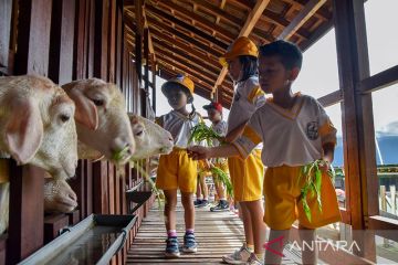 Mini agrowisata Surabaya jadi destinasi edukasi favorit anak-anak