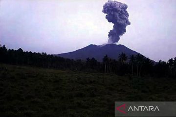 Gunung Ibu erupsi setinggi 600 meter ke arah barat