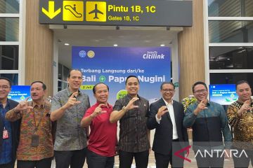 BKSAP DPR RI apresiasi dibukanya penerbangan Bali-Papua Nugini