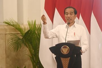 Jokowi tekankan pemerintah terus berupaya bebaskan Pilot Susi Air