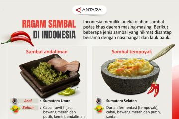 Ragam sambal di Indonesia
