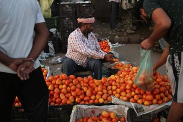 India minta saran masyarakat untuk redam lonjakan harga tomat