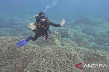 IMO tetapkan Nusa Penida dan Gili Matra sebagai kawasan laut sensitif