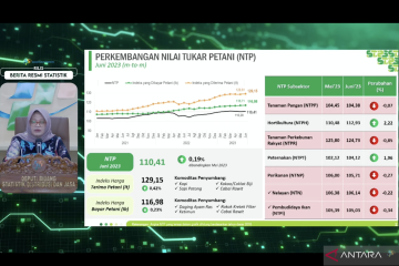 BPS: Nilai Tukar Petani Juni 2023 naik 0,19 persen