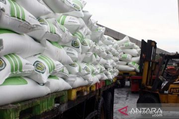 Kenaikan harga urea di pasar global picu peningkatan laba Pupuk Kujang