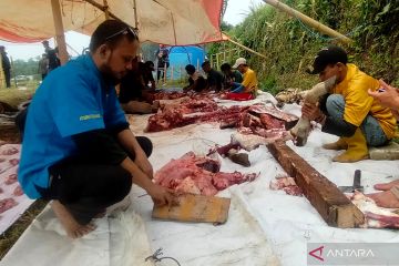 KNPI bagikan 800 bungkus daging sapi ke warga terdampak gempa Cianjur