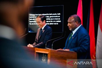 Indonesia dan PNG sepakat susun peta jalan kerja sama pembangunan