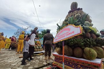 Bupati: Festival Durian bantu kesejahteraan petani di Parigi Moutong 