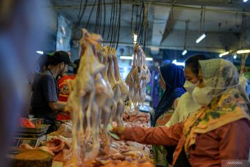 Kenaikan harga daging ayam di Bandung