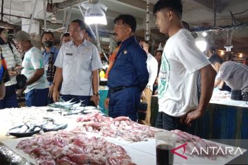 Harga ayam potong di Kota Kupang NTT menembus Rp60.000/ekor