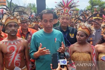 Presiden sebut potensi industri kreatif di Tanah Papua sangat besar