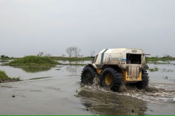 WFP akan kirim bantuan pangan dengan truk AI di wilayah konflik