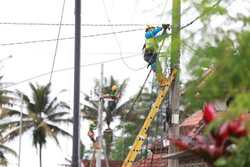 PLN pulihkan seluruh jaringan listrik terdampak banjir Lumajang