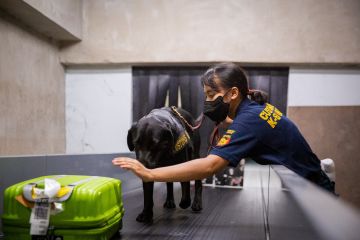 Pusat Pelatihan Anjing Pelacak Bea Cukai Jadi Regional Dog Training Center Asia Pacific