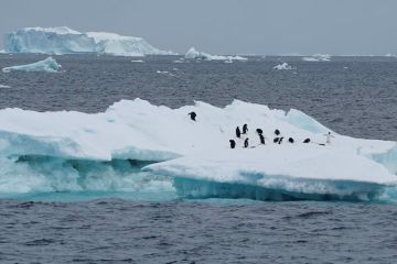 Permukaan laut Antartika turun drastis, kata badan cuaca PBB