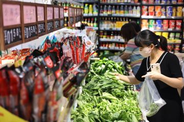 Indeks harga konsumen China tetap stabil pada paruh pertama 2023
