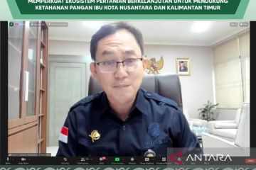 Kementan: "Urban farming" atasi 30 persen kebutuhan pangan IKN