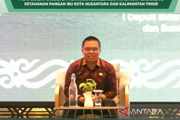 Bapanas: Ekosistem ketahanan pangan perlu dibangun di IKN