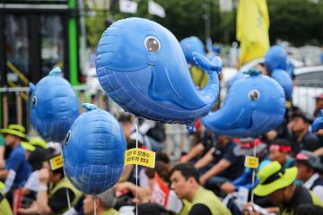 Kota Yeosu di Korsel perluas uji radiasi pada ikan