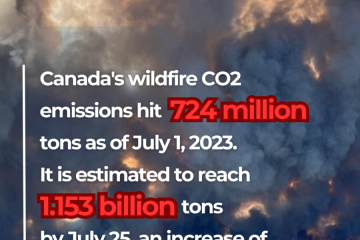 Dunia catat rekor emisi dari kebakaran boreal