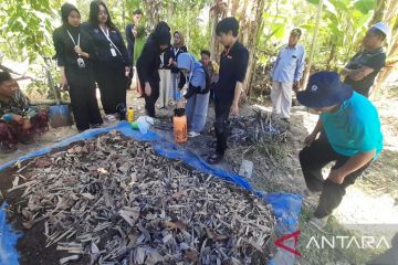 Mahasiswa UB latih petani mengolah limbah menjadi pupuk kompos