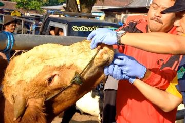 Pemkab Trenggalek larang pembelian ternak dari daerah endemis antraks