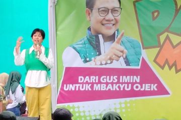 PKB: Kenaikan PPN bukan harga mati untuk penguatan APBN