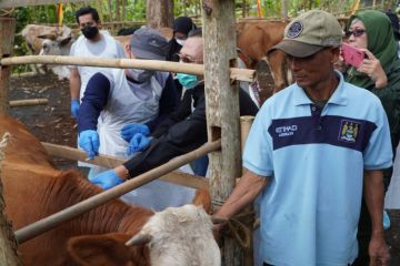 Dinkes Gunungkidul ambil sampel darah warga yang luka seperti antraks