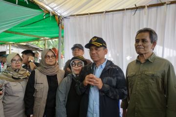 BRGM: Kebutuhan melanjutkan program rehabilitasi mangrove sangat besar