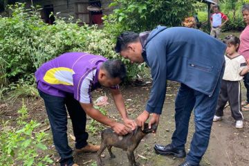 Dinkes Sukabumi tangani 73 kasus gigitan hewan penular rabies