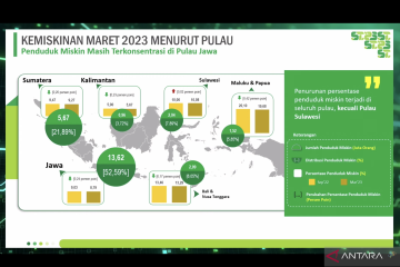 BPS: Seluruh pulau alami penurunan kemiskinan kecuali Sulawesi