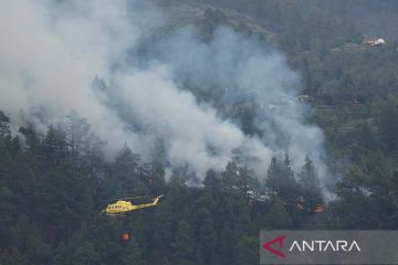 Hutan pulau Canary La Palma Spanyol terbakar